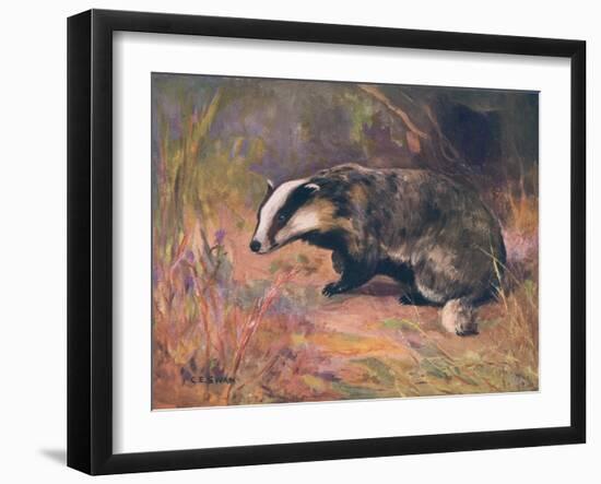 Badger, Swan, Wild Beasts-Cuthbert Swan-Framed Art Print