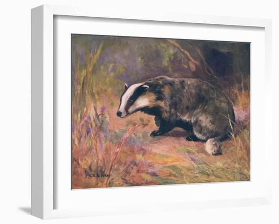 Badger, Swan, Wild Beasts-Cuthbert Swan-Framed Art Print