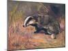 Badger, Swan, Wild Beasts-Cuthbert Swan-Mounted Art Print