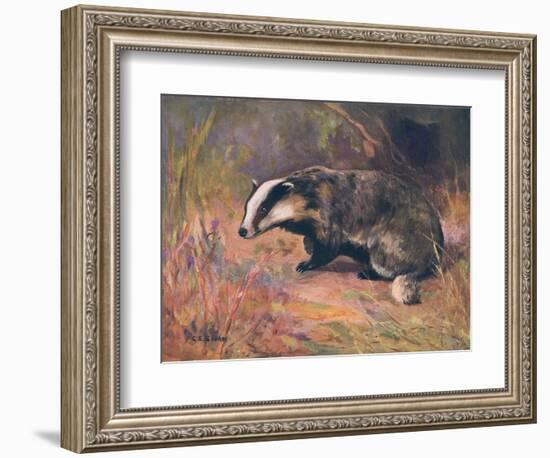 Badger, Swan, Wild Beasts-Cuthbert Swan-Framed Premium Giclee Print