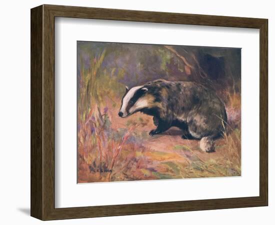 Badger, Swan, Wild Beasts-Cuthbert Swan-Framed Premium Giclee Print