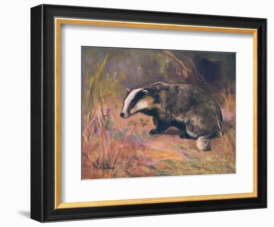 Badger, Swan, Wild Beasts-Cuthbert Swan-Framed Premium Giclee Print