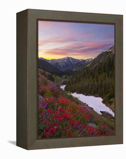 Badger Valley Sunrise, Olympic National Park, Washington, USA-Gary Luhm-Framed Premier Image Canvas