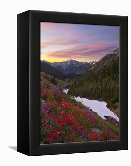 Badger Valley Sunrise, Olympic National Park, Washington, USA-Gary Luhm-Framed Premier Image Canvas