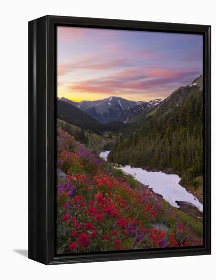 Badger Valley Sunrise, Olympic National Park, Washington, USA-Gary Luhm-Framed Premier Image Canvas