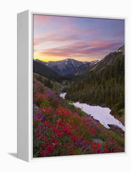 Badger Valley Sunrise, Olympic National Park, Washington, USA-Gary Luhm-Framed Premier Image Canvas