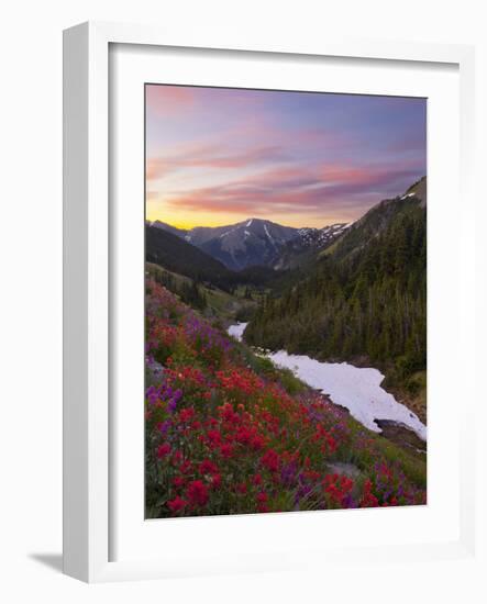 Badger Valley Sunrise, Olympic National Park, Washington, USA-Gary Luhm-Framed Photographic Print