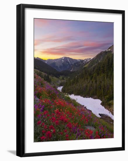 Badger Valley Sunrise, Olympic National Park, Washington, USA-Gary Luhm-Framed Photographic Print