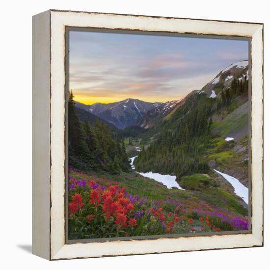 Badger Valley Sunrise, Olympic National Park, Washington, USA-Gary Luhm-Framed Premier Image Canvas