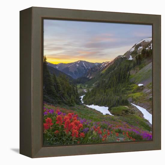 Badger Valley Sunrise, Olympic National Park, Washington, USA-Gary Luhm-Framed Premier Image Canvas