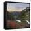 Badger Valley Sunrise, Olympic National Park, Washington, USA-Gary Luhm-Framed Premier Image Canvas
