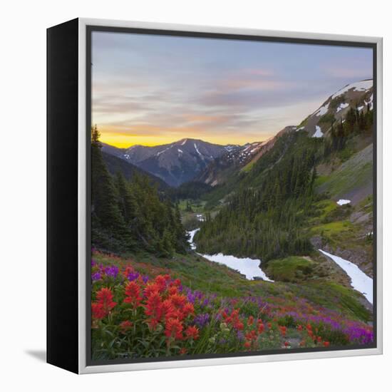 Badger Valley Sunrise, Olympic National Park, Washington, USA-Gary Luhm-Framed Premier Image Canvas