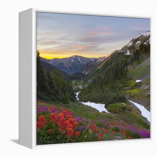 Badger Valley Sunrise, Olympic National Park, Washington, USA-Gary Luhm-Framed Premier Image Canvas