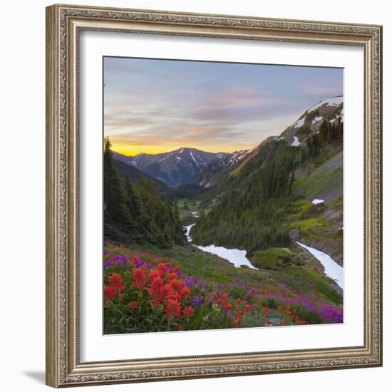 Badger Valley Sunrise, Olympic National Park, Washington, USA-Gary Luhm-Framed Photographic Print