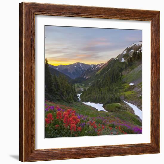 Badger Valley Sunrise, Olympic National Park, Washington, USA-Gary Luhm-Framed Photographic Print