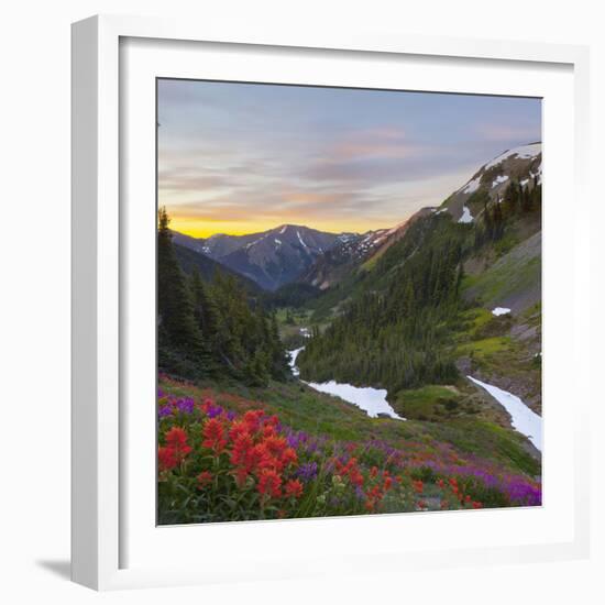 Badger Valley Sunrise, Olympic National Park, Washington, USA-Gary Luhm-Framed Photographic Print