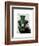 Badger with Green Top Hat and Moustache-Fab Funky-Framed Art Print