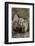 Badger-DLILLC-Framed Photographic Print