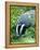 Badger-Reiner Bernhardt-Framed Premier Image Canvas