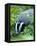 Badger-Reiner Bernhardt-Framed Premier Image Canvas