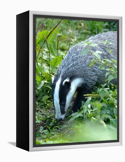 Badger-Reiner Bernhardt-Framed Premier Image Canvas