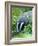 Badger-Reiner Bernhardt-Framed Photographic Print