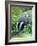 Badger-Reiner Bernhardt-Framed Photographic Print