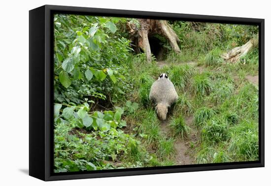 Badger-Reiner Bernhardt-Framed Premier Image Canvas