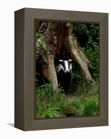 Badger-Reiner Bernhardt-Framed Premier Image Canvas