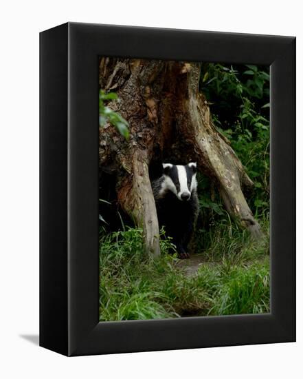 Badger-Reiner Bernhardt-Framed Premier Image Canvas