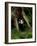 Badger-Reiner Bernhardt-Framed Photographic Print