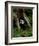 Badger-Reiner Bernhardt-Framed Photographic Print