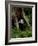 Badger-Reiner Bernhardt-Framed Photographic Print