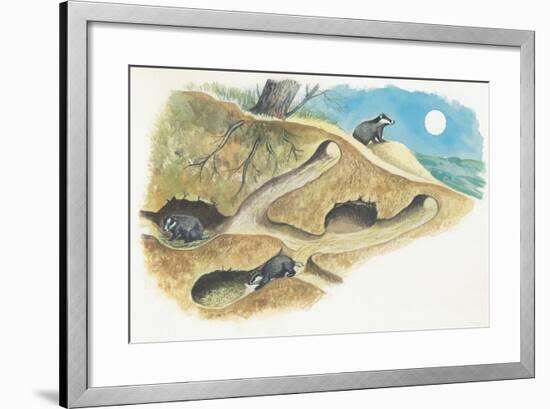 Badgers on a Den (Meles Meles)-null-Framed Giclee Print