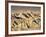 Badlands at Zabriskie Point, Death Valley National Park, California, USA-James Hager-Framed Photographic Print