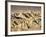 Badlands at Zabriskie Point, Death Valley National Park, California, USA-James Hager-Framed Photographic Print