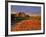 Badlands in the Little Missouri National Grasslands, North Dakota, USA-Chuck Haney-Framed Photographic Print