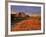 Badlands in the Little Missouri National Grasslands, North Dakota, USA-Chuck Haney-Framed Photographic Print