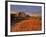 Badlands in the Little Missouri National Grasslands, North Dakota, USA-Chuck Haney-Framed Photographic Print