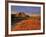 Badlands in the Little Missouri National Grasslands, North Dakota, USA-Chuck Haney-Framed Photographic Print