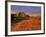 Badlands in the Little Missouri National Grasslands, North Dakota, USA-Chuck Haney-Framed Photographic Print