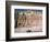 Badlands in Theodore Roosevelt National Park-Layne Kennedy-Framed Photographic Print