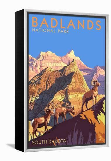 Badlands National Park, South Dakota - Bighorn Sheep-Lantern Press-Framed Stretched Canvas