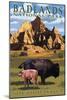 Badlands National Park, South Dakota - Bison Scene-Lantern Press-Mounted Art Print
