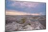 Badlands National Park, South Dakota - Early Morning-Lantern Press-Mounted Art Print