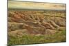 Badlands National Park, South Dakota - Grassy Bluff-Lantern Press-Mounted Art Print