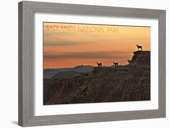 Badlands National Park, South Dakota - Rams on Ridge-Lantern Press-Framed Art Print