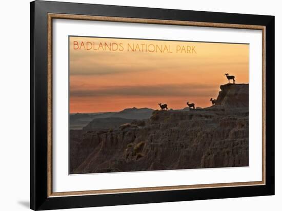 Badlands National Park, South Dakota - Rams on Ridge-Lantern Press-Framed Art Print