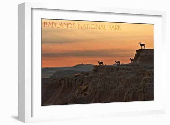 Badlands National Park, South Dakota - Rams on Ridge-Lantern Press-Framed Art Print