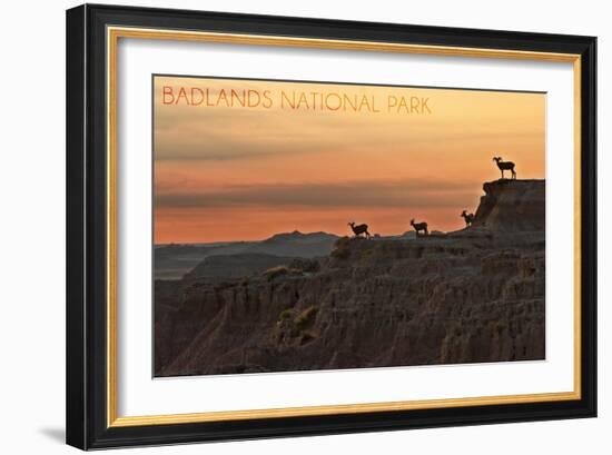 Badlands National Park, South Dakota - Rams on Ridge-Lantern Press-Framed Art Print